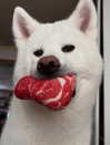 kriskaik Altpins Profile Picture