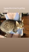 olivia.bolgerr Altpins Profile Picture