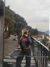 payton.r Altpins Profile Picture