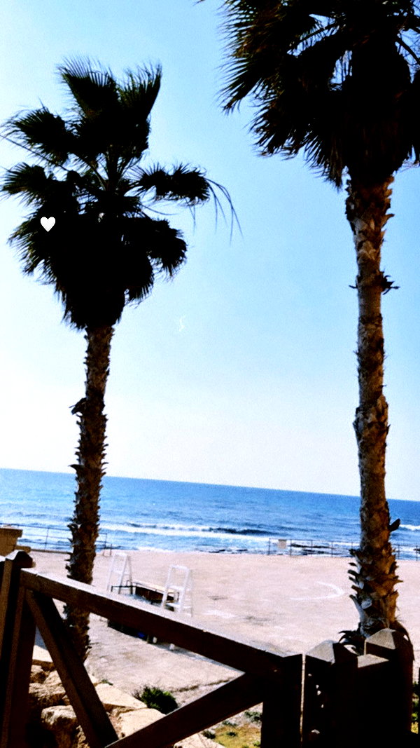 yaelxyazdi instagram image archive image