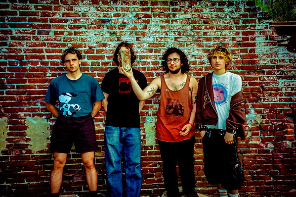 bugz4brainz instagram image archive image