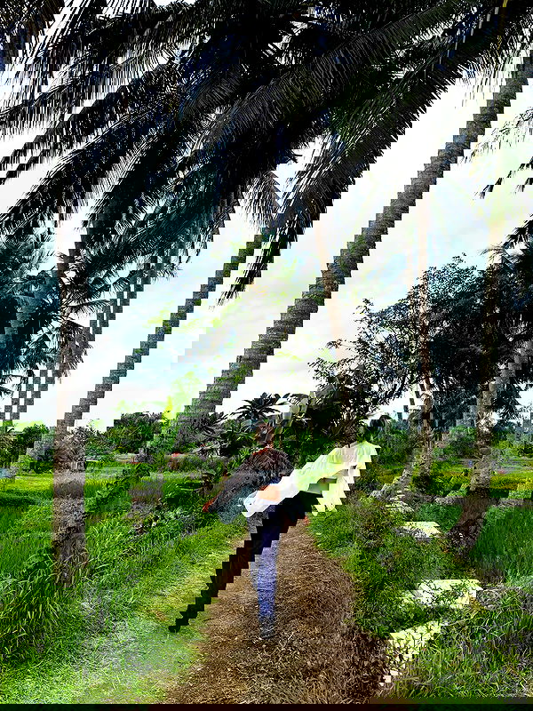 taylor.creeden taylor.creeden archive image