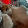 itsnokiiia Altpins Profile Picture