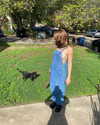 lizardbabychloe Altpins Profile Picture