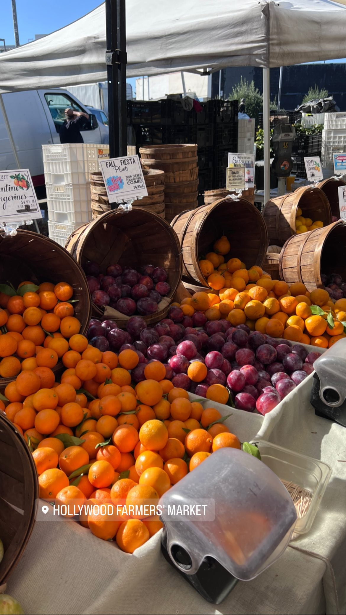 leonanaomii instagram image archive image