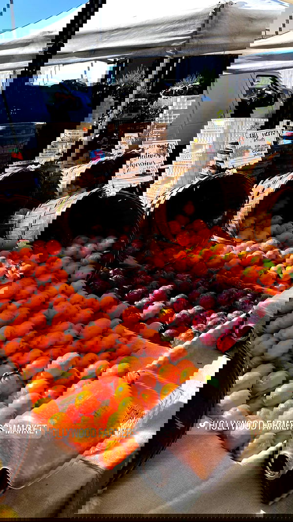 leonanaomii image ~ Altpins