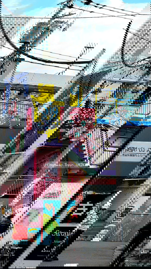 taylor.creeden taylor.creeden archive image