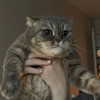 amatveyko Altpins Profile Picture