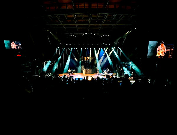 cannonstheband instagram image archive image