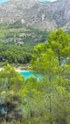 ruth_chavarri Altpins Profile Picture