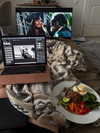 gritsa.k Altpins Profile Picture