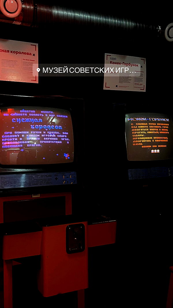 alishevs instagram image archive image