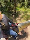 carolinezalog Altpins Profile Picture