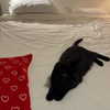 bloodymila Altpins Profile Picture