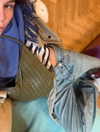 ninastodden Altpins Profile Picture