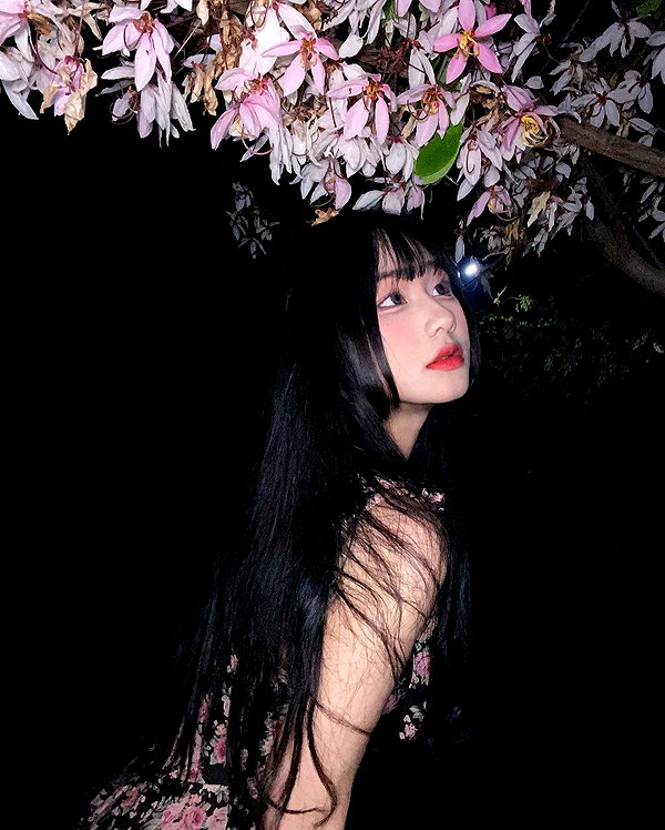 lai_931201 instagram image archive image
