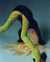 xtina Altpins Profile Picture