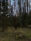 vollkova__ Altpins Profile Picture