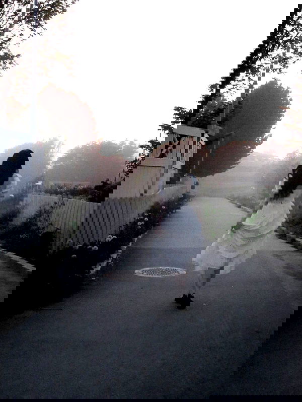 milkgore milkgore archive image