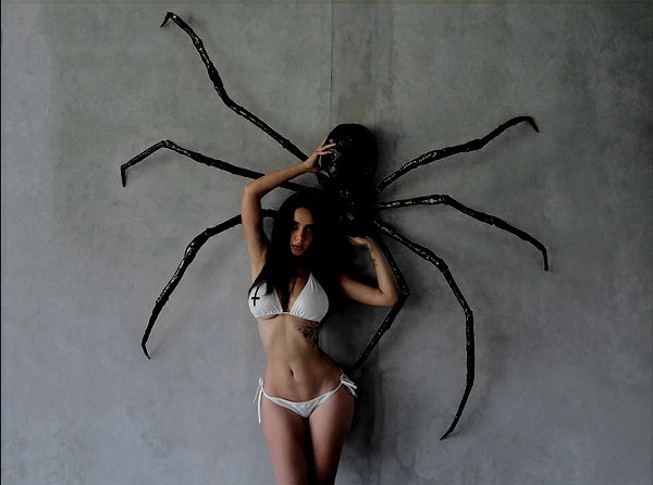 ann.shellll archive image