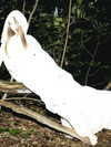 suspiria.em Altpins Profile Picture
