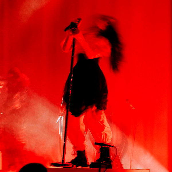 impoppy instagram image archive image