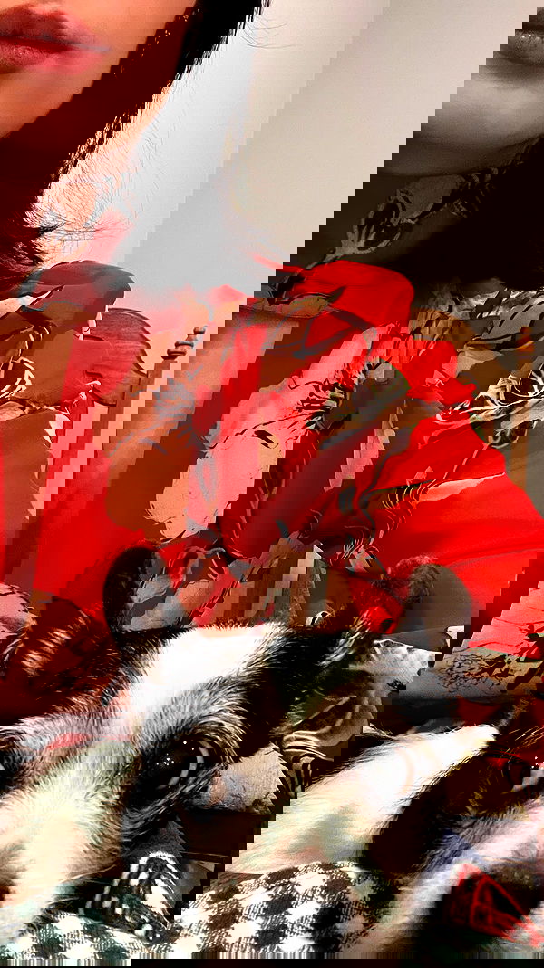 lilarosepalaza lilarosepalaza archive image