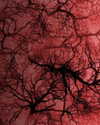 glowmoonshorty Altpins Profile Picture
