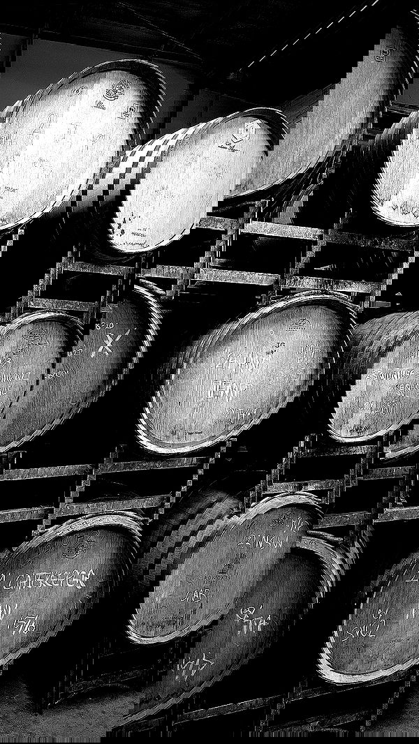 taylor.creeden taylor.creeden archive image