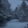 livia._.paige Altpins Profile Picture