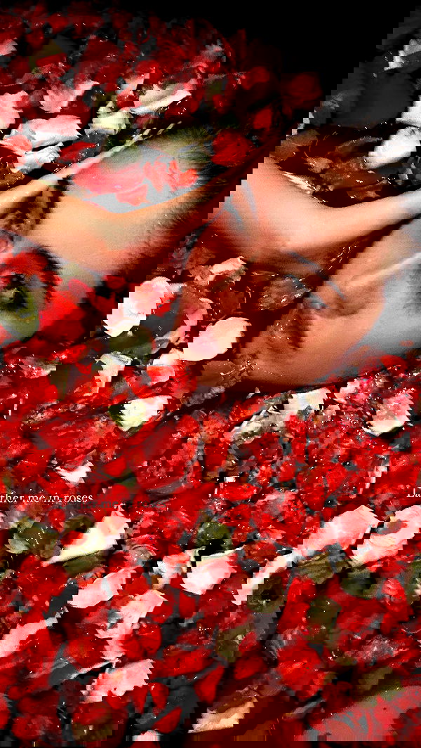 taylor.creeden taylor.creeden archive image