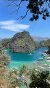 maori_cohen Altpins Profile Picture