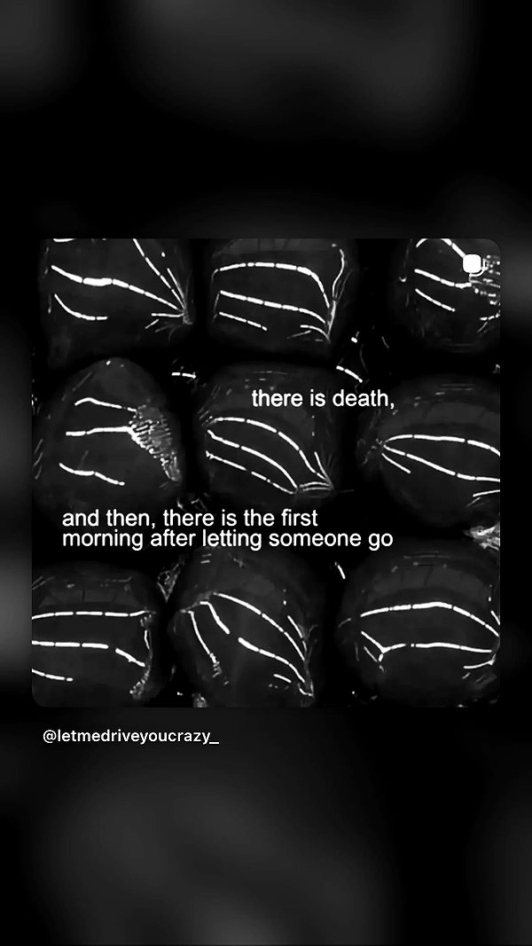 Archived image from @notchicore on Instagram