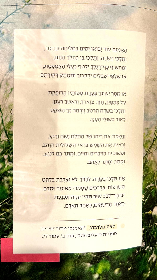 efrat_elmalich instagram image archive image