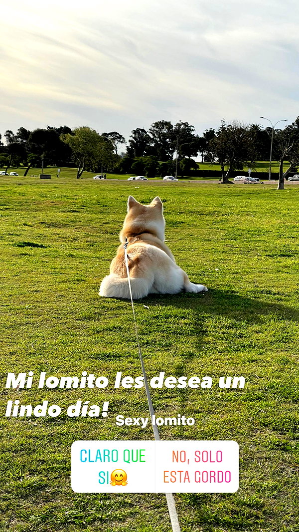 ruth_chavarri archive image