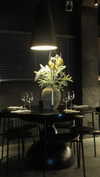 vvelum_ Altpins Profile Picture