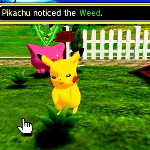 sashasucc sashasucc archive image