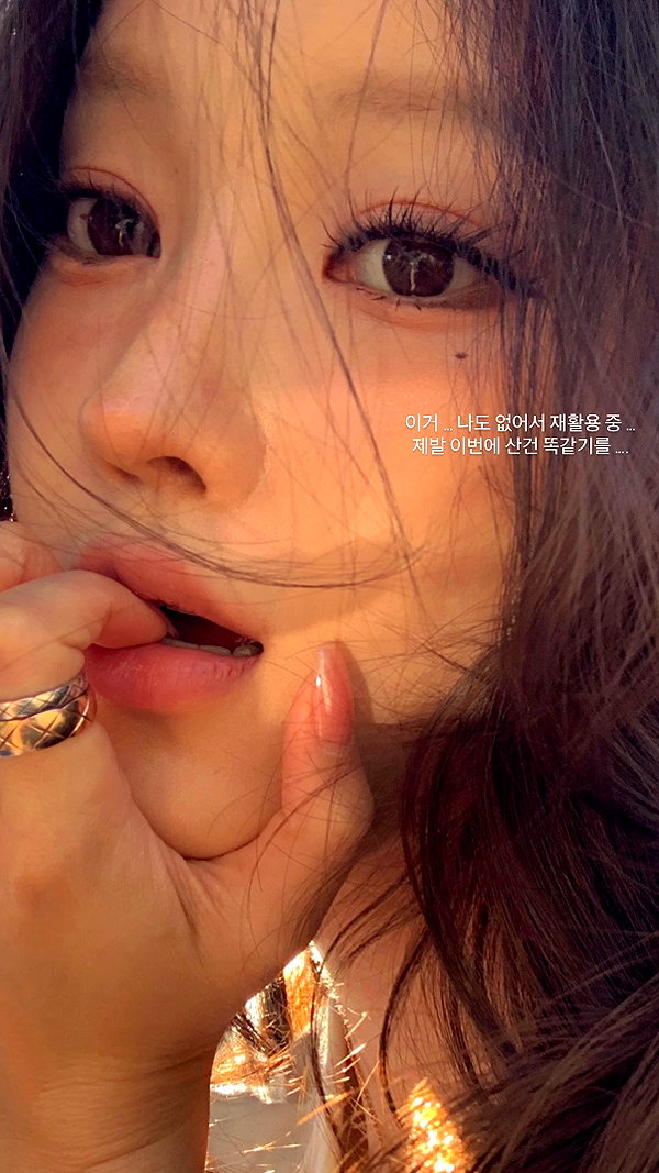 daxbin instagram image archive image