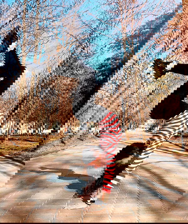 kkulakovaa image ~ Altpins