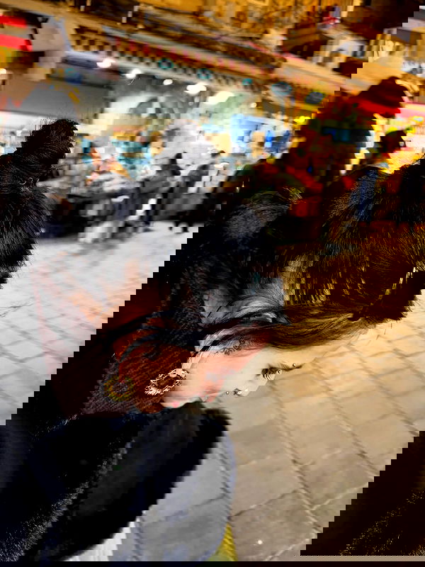 strawberryshanz strawberryshanz archive image