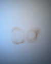 xtina Altpins Profile Picture