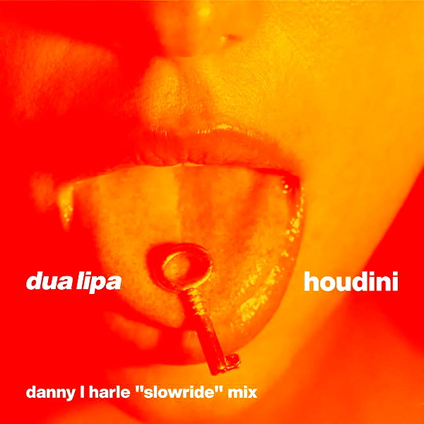 dualipa instagram image archive image