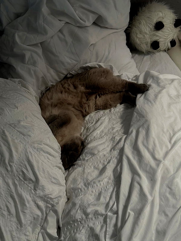 drowsylio instagram image archive image