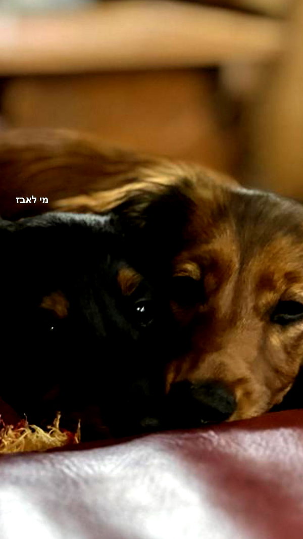 libby_reut archive image