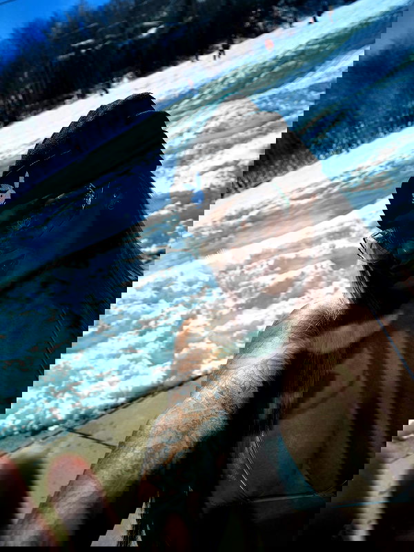 itshayleydavies itshayleydavies archive image