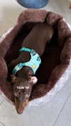 maya.keyy Altpins Profile Picture