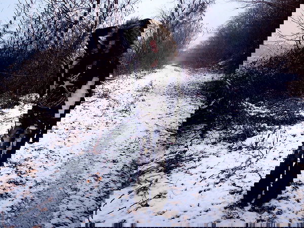 twodollie twodollie archive image