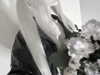 annaemiliaz Altpins Profile Picture