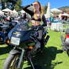 rouxroux.tv Altpins Profile Picture