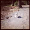 lucyhale Altpins Profile Picture